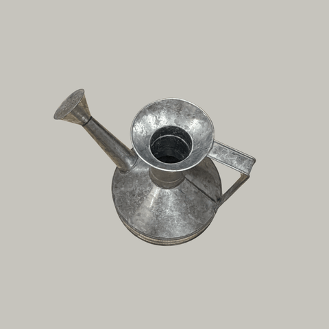 Regadera Hojalata
