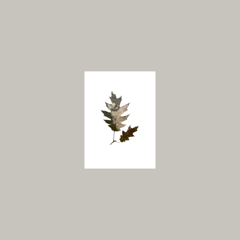 Recomposición 001