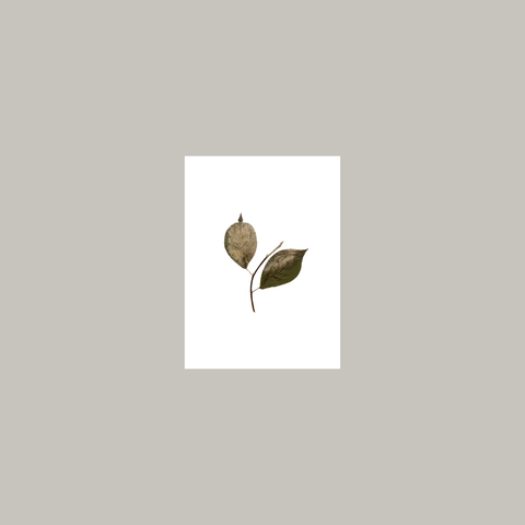 Recomposición 003