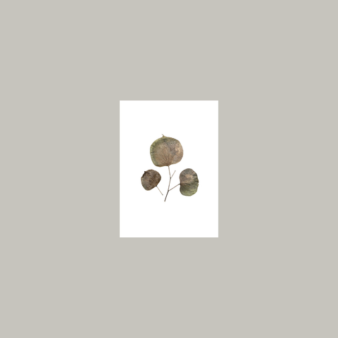 Recomposición 002